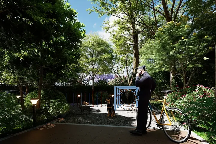 A pet corner with agility hoops in a shaded garden